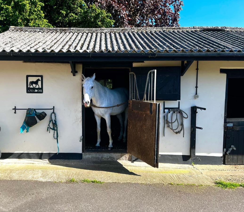 Byre - Farm Cottage On 9 Acre Equestrian Small Holding Salisbury Eksteriør billede