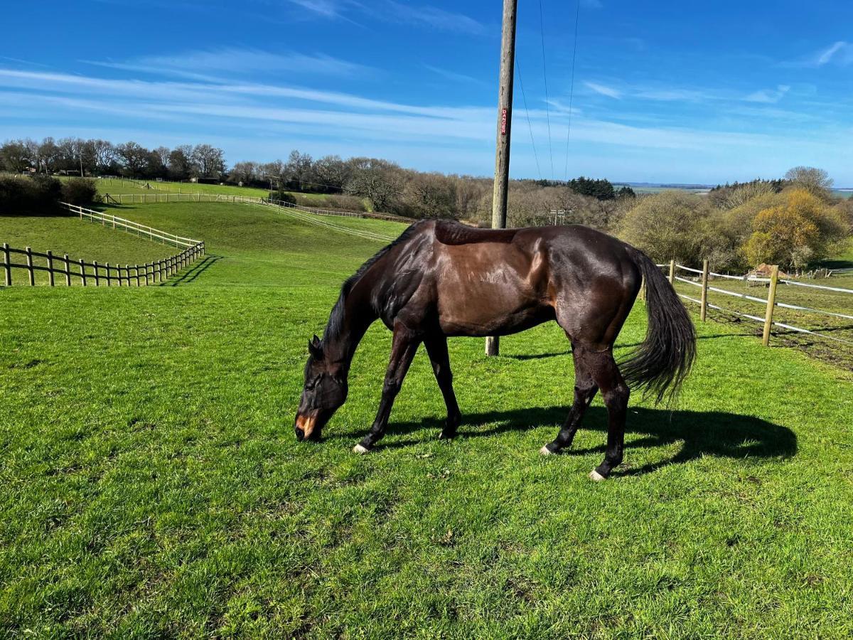 Byre - Farm Cottage On 9 Acre Equestrian Small Holding Salisbury Eksteriør billede